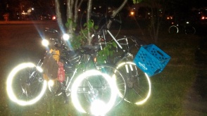 Bikes locked to trees